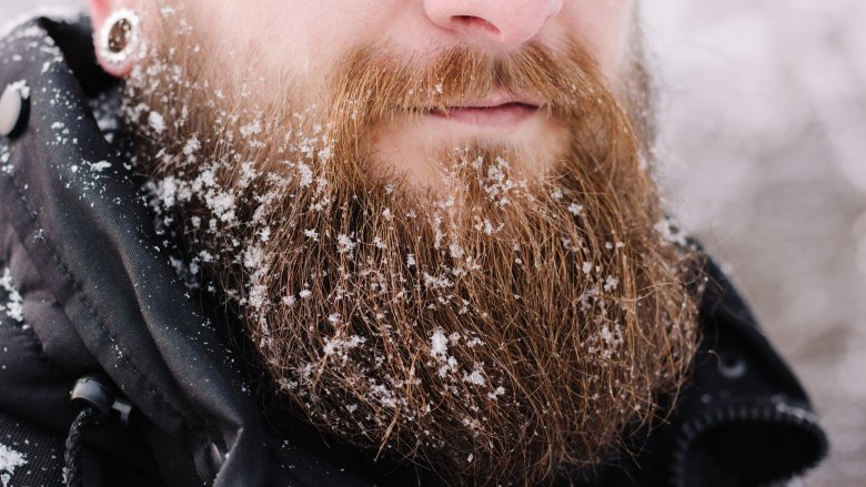 beard snow cold