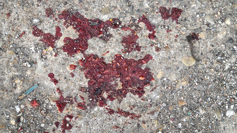 blood stain on sidewalk