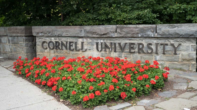 Cornell University sign behind flower bed