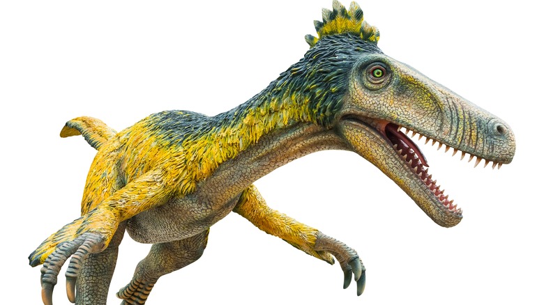 austroraptor illustration