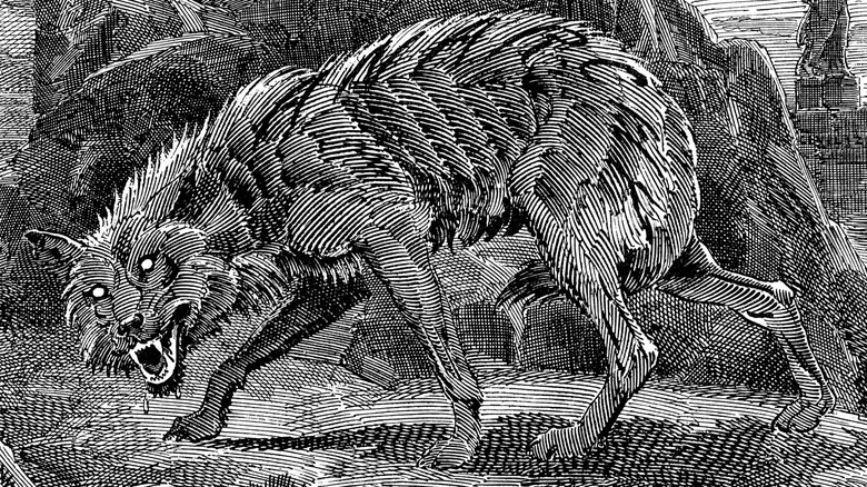 Black and white sketch of a mad wolf