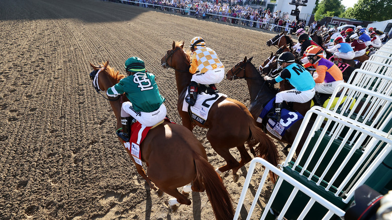 Horses breaking from the gate at the Kentucky Derby