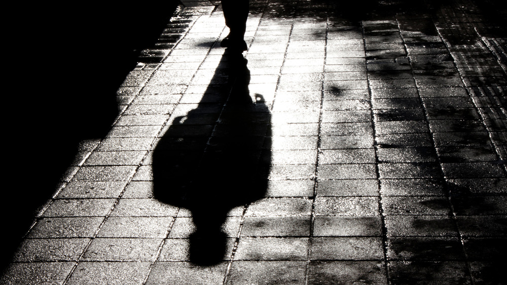 Shadow silhouette against bricks