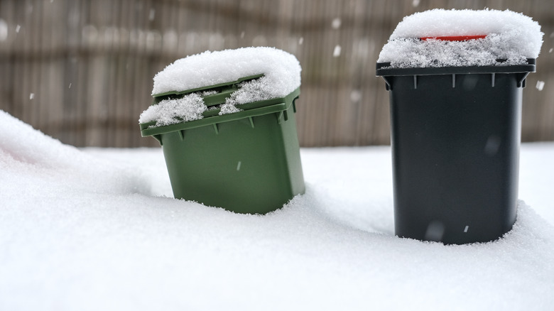 Trash bins covered in snow