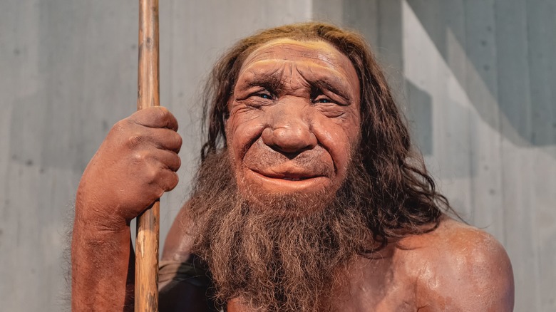 Neanderthal in German museum