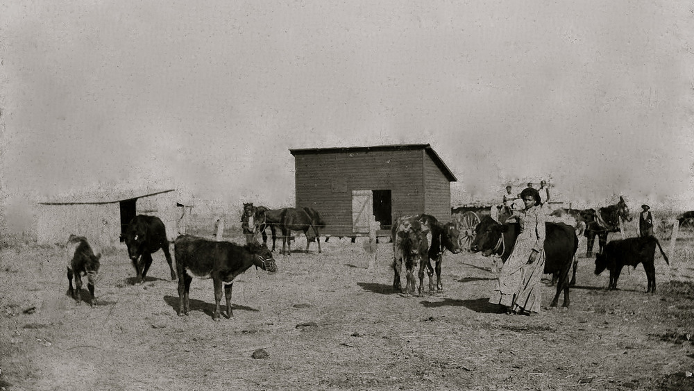 Black farmers in Oklahoma around the end of the 19th century