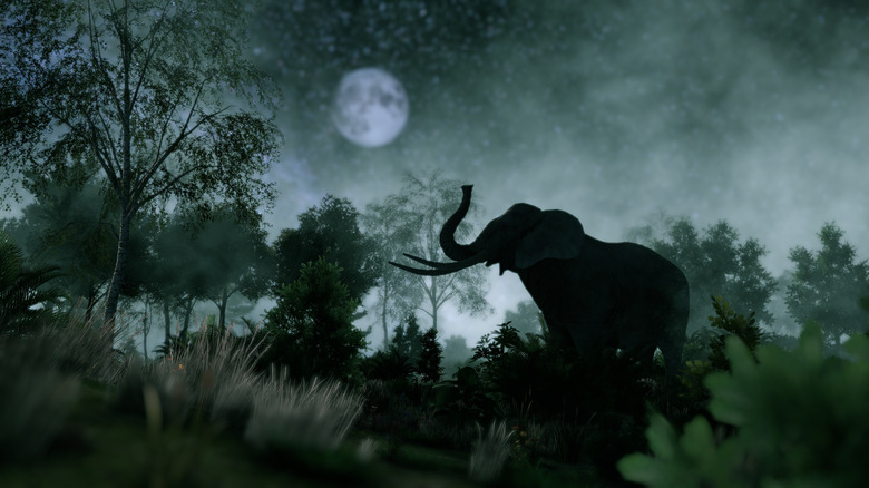 Elephant raising trunk towards moon