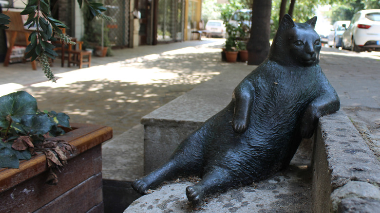 statue of the cat Tombili