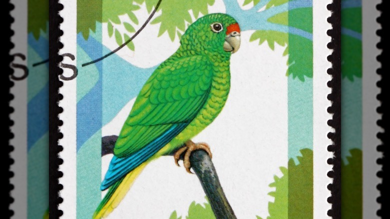 puerto rican parrot on a stamp