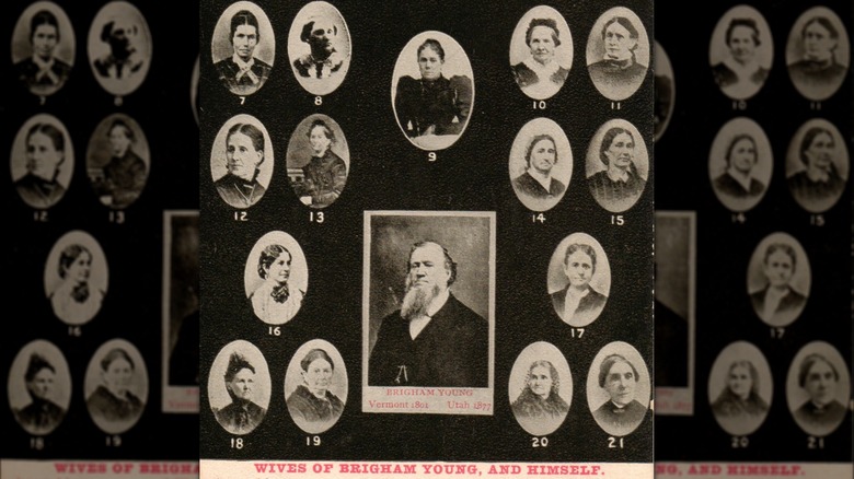 Postcard showing Brigham Young and 21 of his wives, including Ann Eliza Young