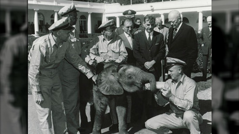 President Eisenhower and elephant