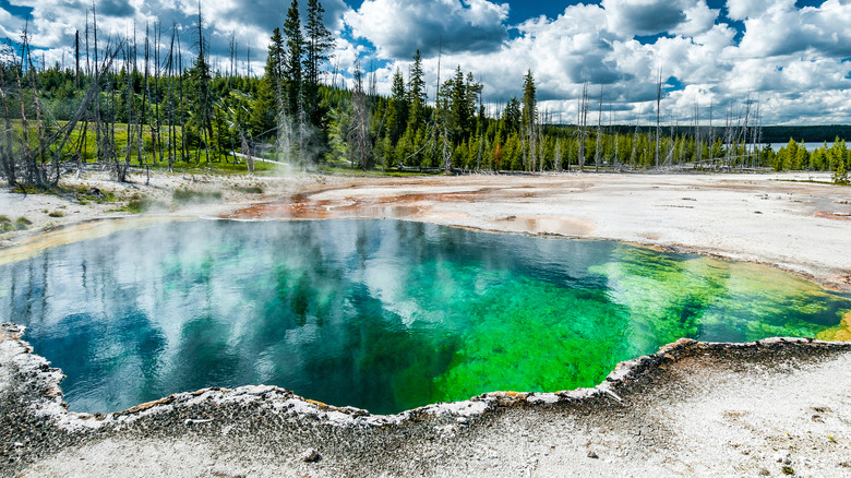 Yellowstone's Hot Springs