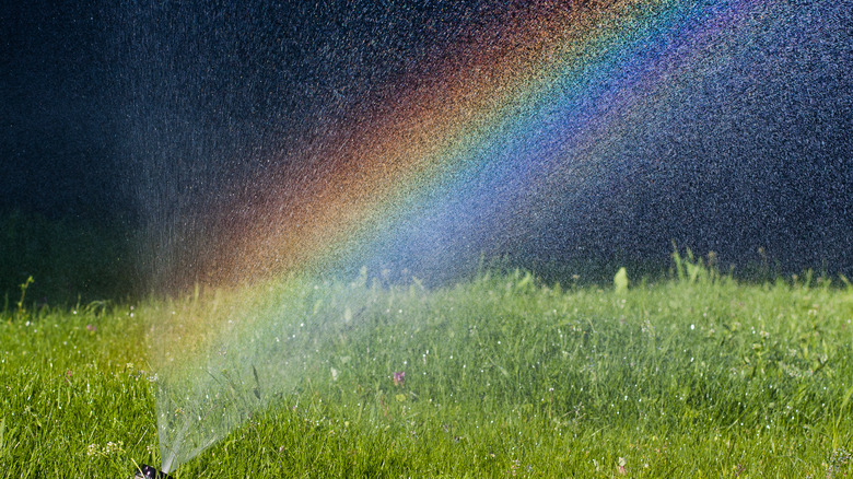 Rainbow over sprinkler on lawn