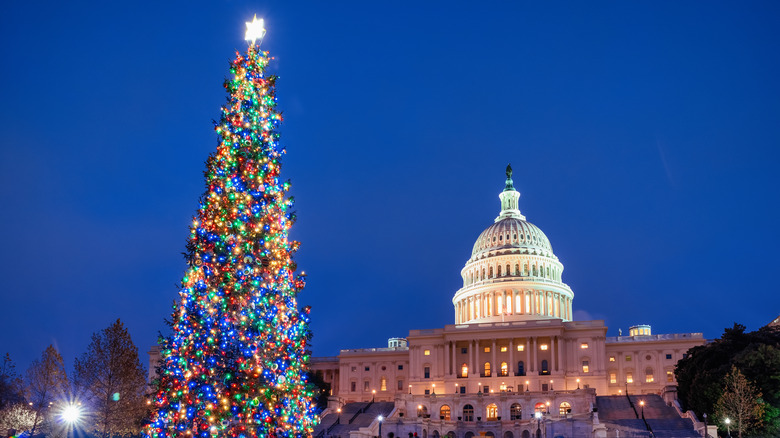 Christmas tree lighting at the Capitol