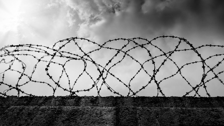 Barbed wire atop a prison fence