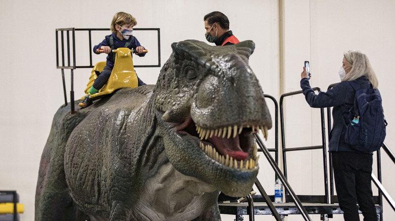 a child riding a toy T. rex
