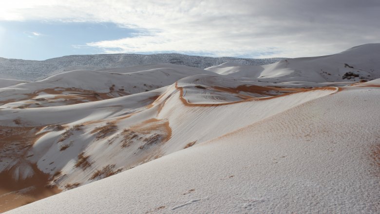 snow in sahara desert