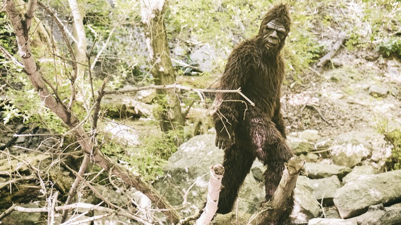 Bigfoot walking in forest