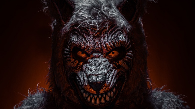 Close-up of a realistic werewolf costume