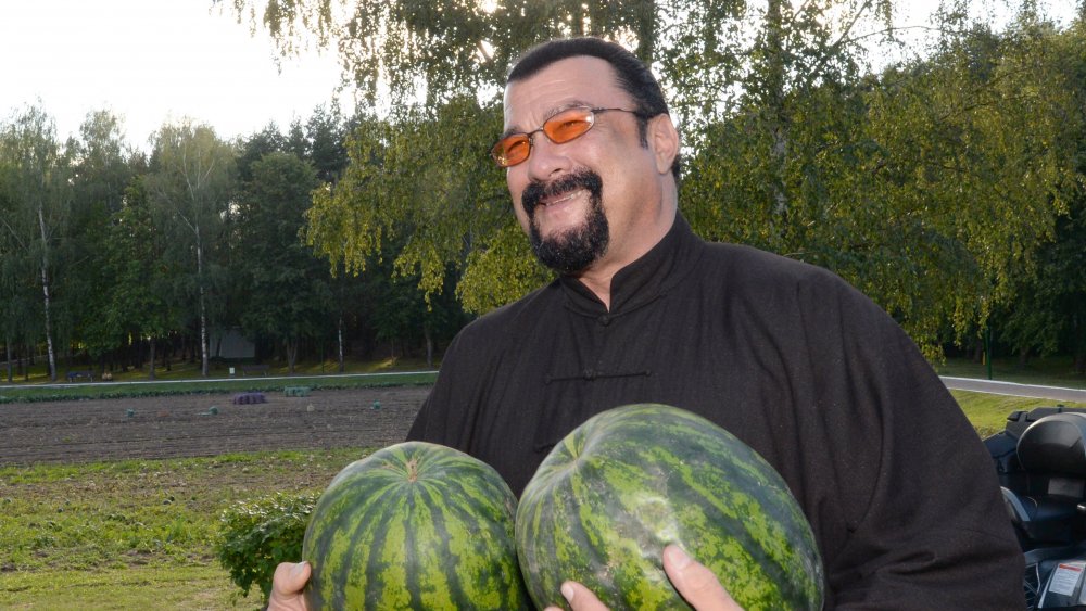 That's Steven Seagal holding some watermelons like they're his breasts, and it's very, very funny, Jim.