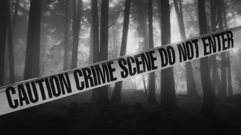 Crime scene in the woods