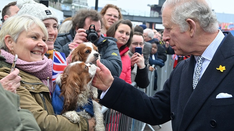 Prince Charles petting two dogs