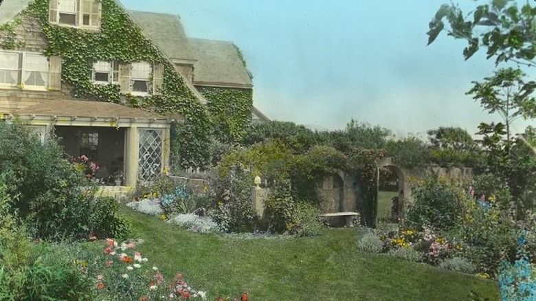Grey Gardens estate, exterior shot of yard