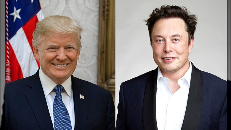 Portraits of Donald Trump and Elon Musk