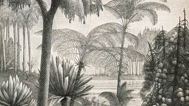 Etching of Carboniferous forest