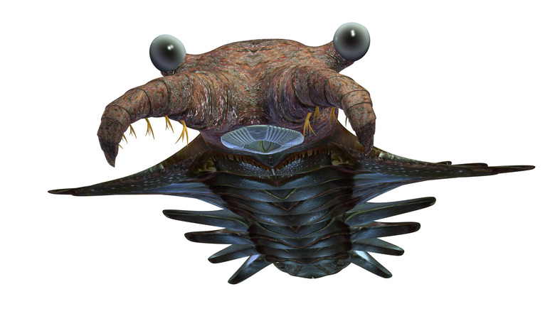 Anomalocaris rendering with protruding eyes