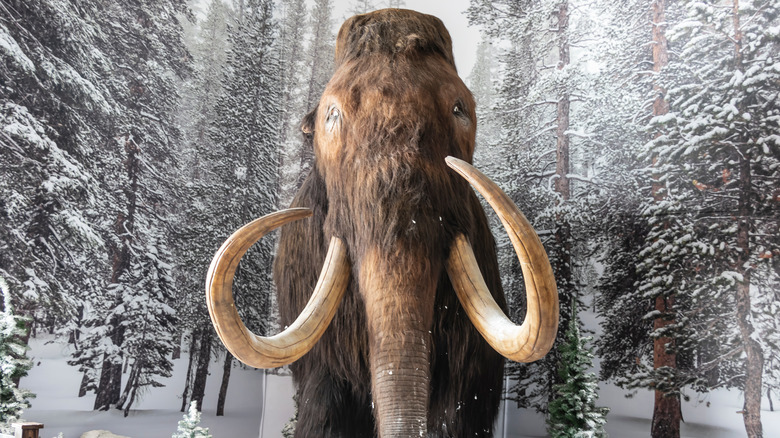 A mammoth depicted in snowy forest