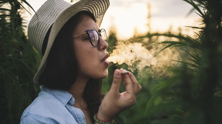 Woman smoking joint at marijuana plantation