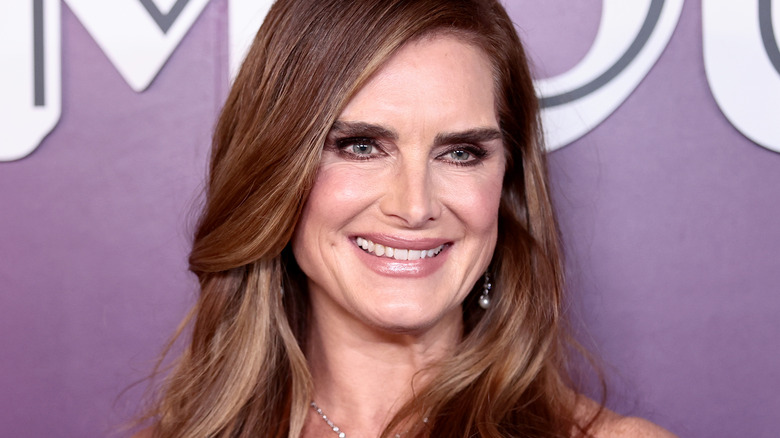 Brooke Shields smiles for the camera on the red carpet