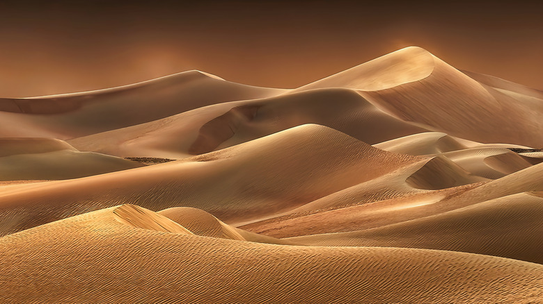Golden dunes of the Sahara.