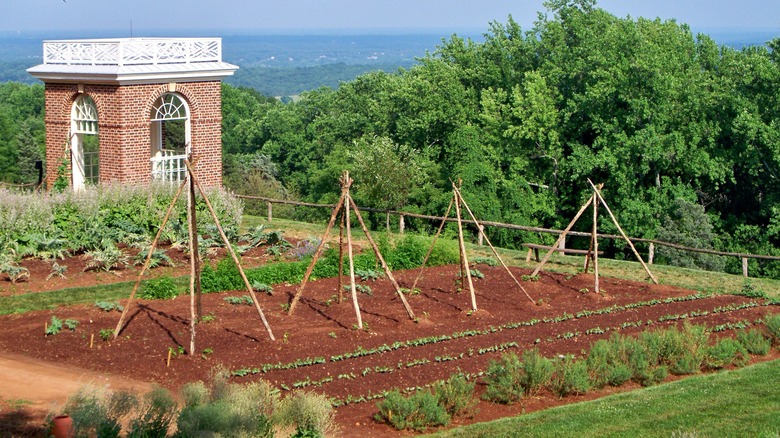 Garden at Monticello