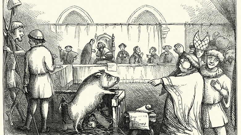 Sow on trial in medieval court
