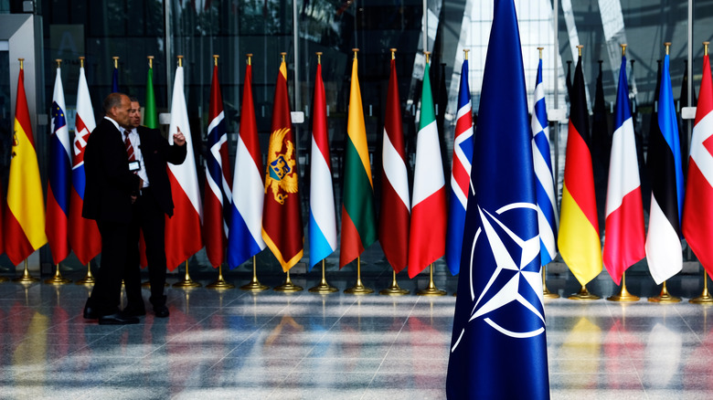The flags of NATO countries