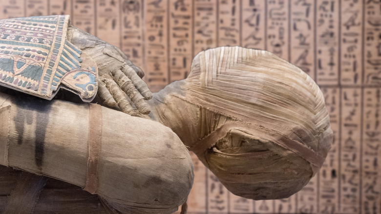 Mummified body