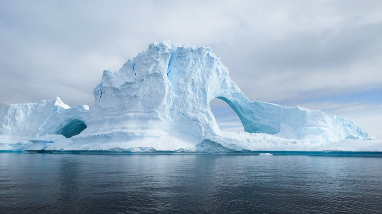Icy cliffs on the Antarctic coast