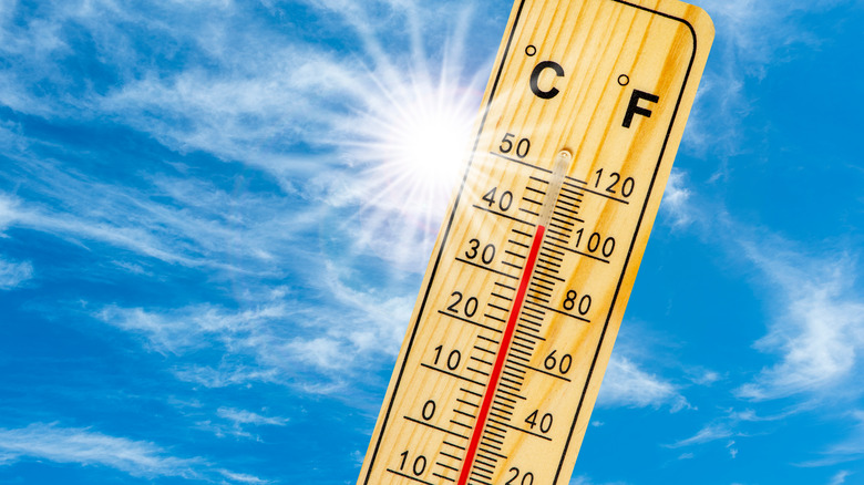 heat wave temperatures up to 100