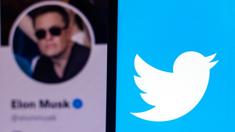Elon Musk blurry profile and the Twitter logo