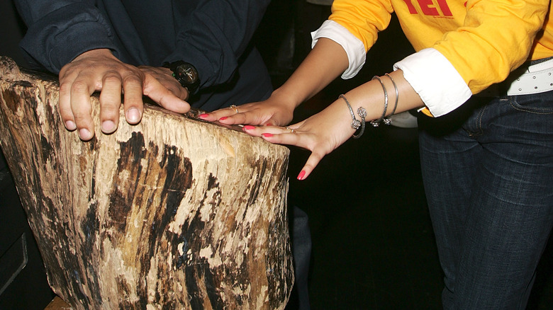 hands touching tree of hope