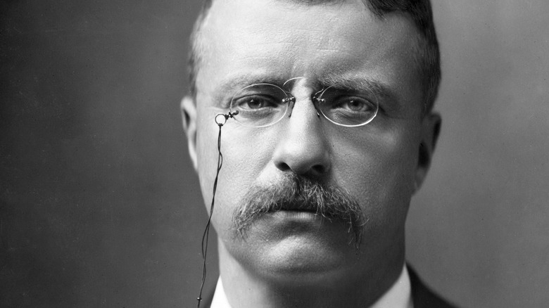 Theodore Roosevelt close up