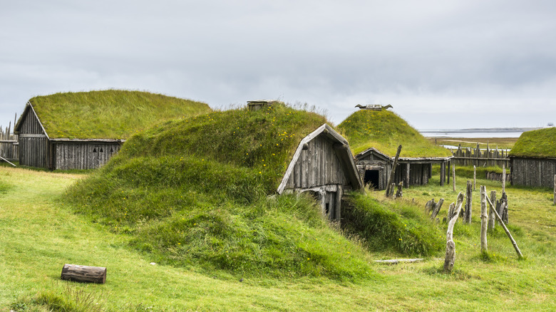 grassy Viking village