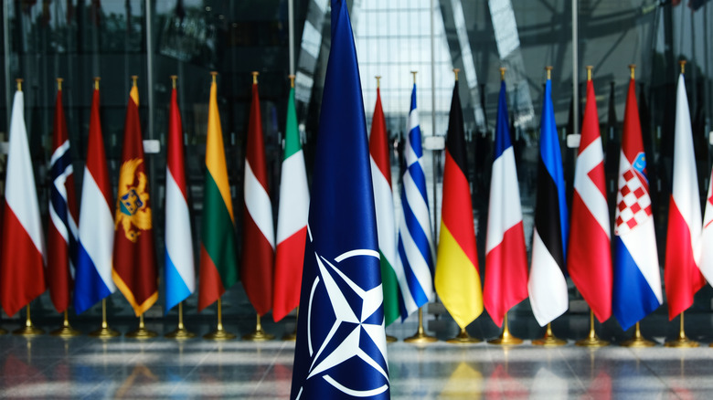an array of NATO flags
