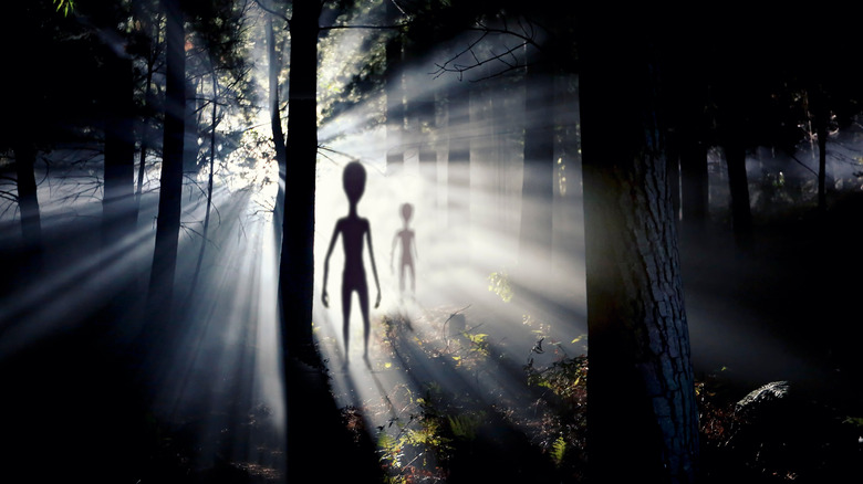 Aliens in a forest
