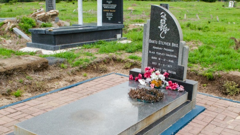 grave of Stephen Biko