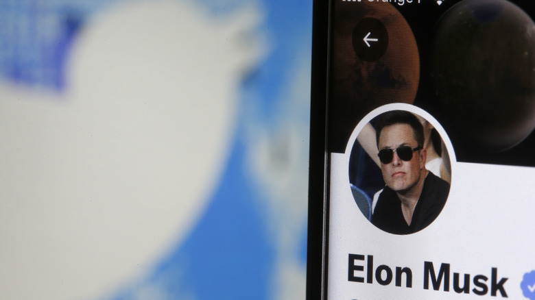 Elon Musk Twitter profile alongside Twitter logo