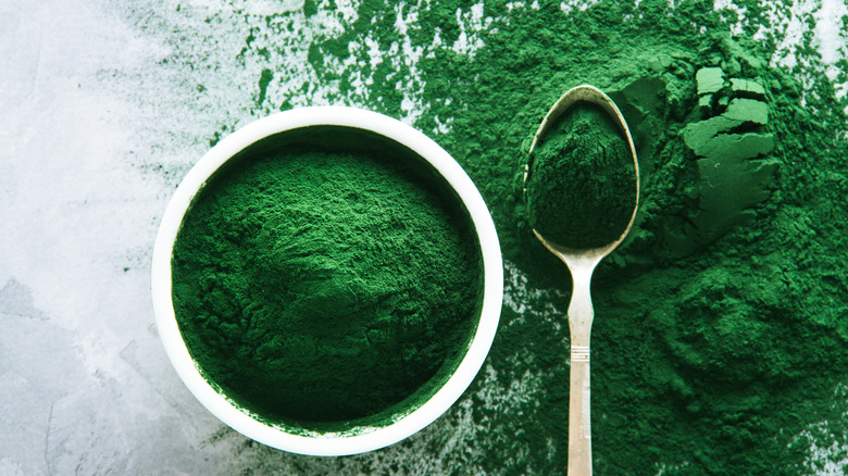 Rich green spirulina algae powder