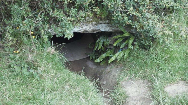Cruachan cave entrance 